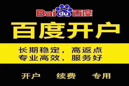 SEM运营公司案例：打造爆款广告策略
